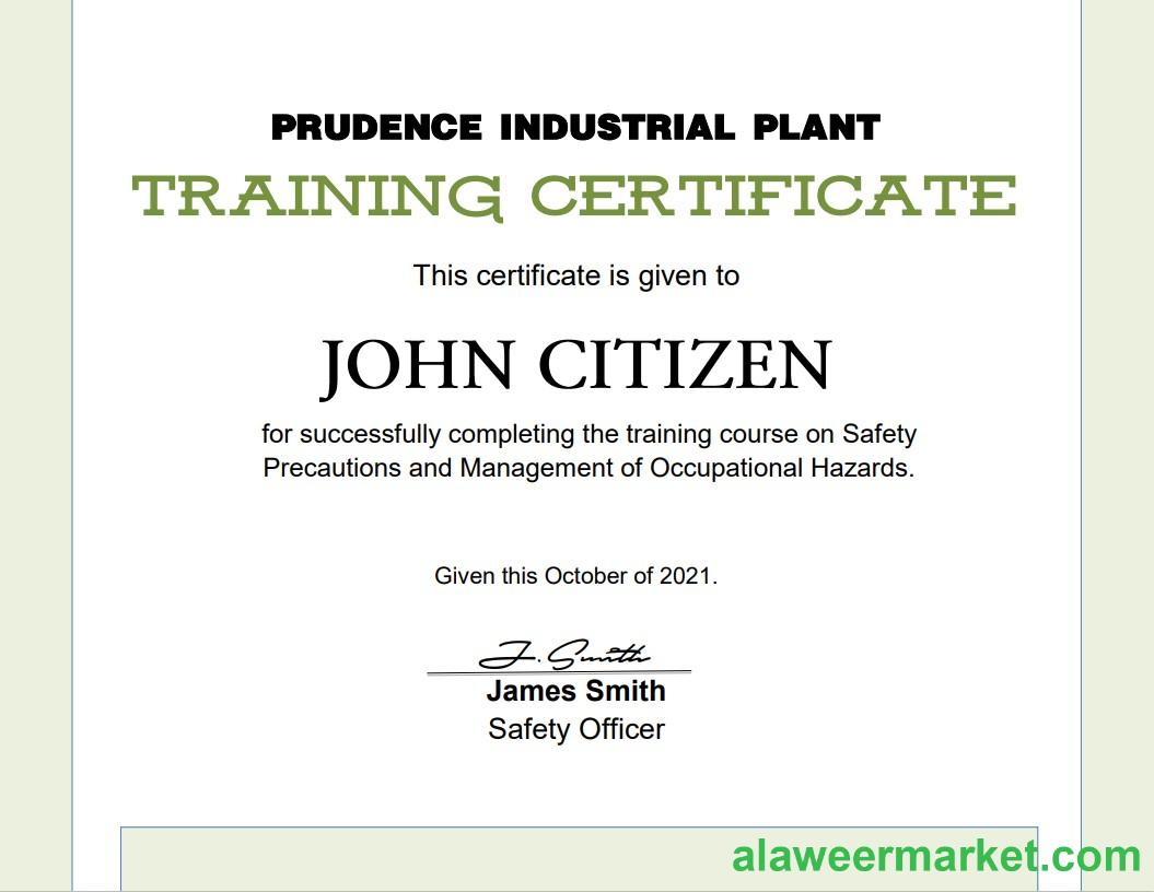 USA Training certificate template in Word and PDF format, version 2